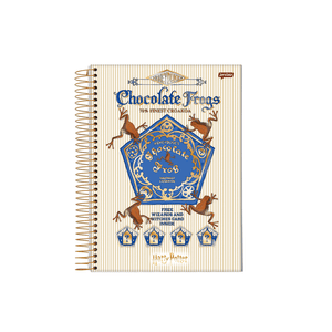 Caderneta 18 C.D. 96 Folhas Jandaia - Harry Potter 12